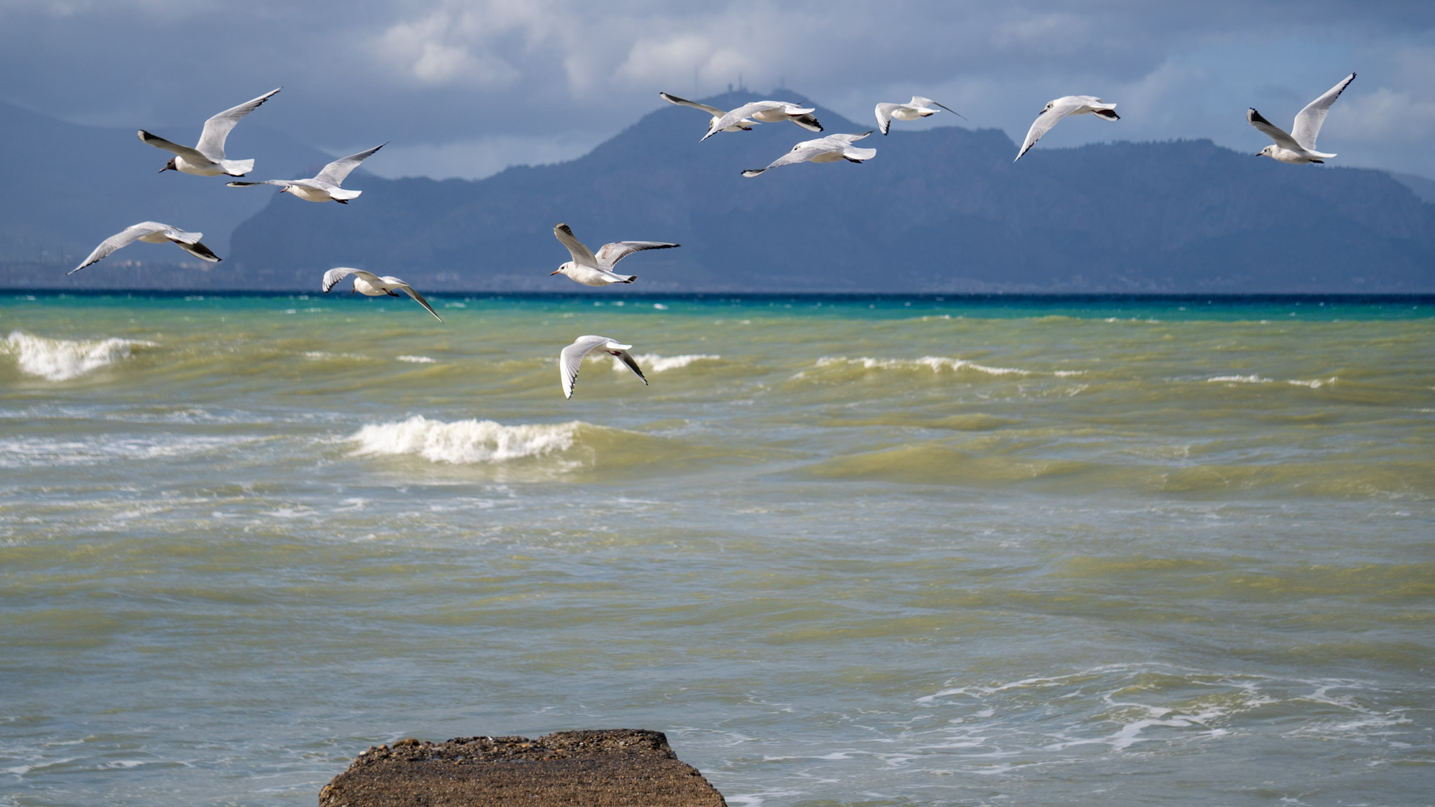 Seascape from Aspra with seagulls at sunset